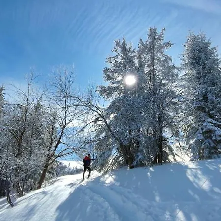 Chalupka Janosikove Diery 別荘 *